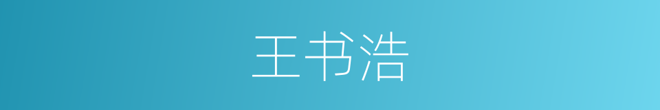 王书浩的同义词
