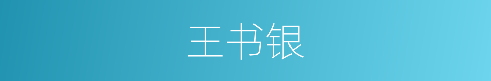 王书银的同义词
