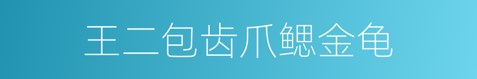 王二包齿爪鳃金龟的同义词
