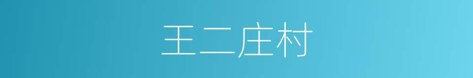 王二庄村的同义词