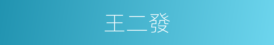 王二發的同義詞