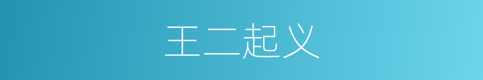 王二起义的同义词