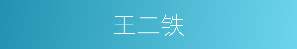 王二铁的同义词