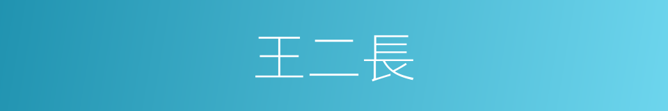 王二長的同義詞