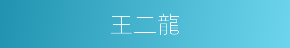 王二龍的同義詞