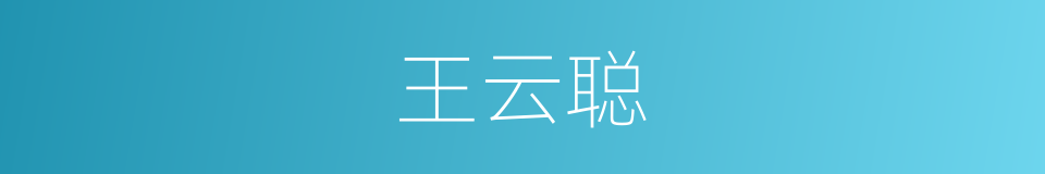 王云聪的同义词