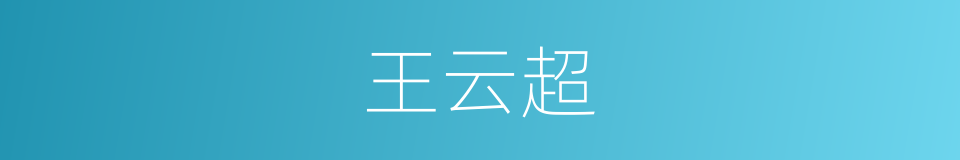 王云超的同义词