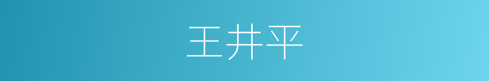 王井平的同义词