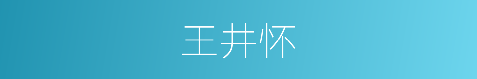 王井怀的同义词