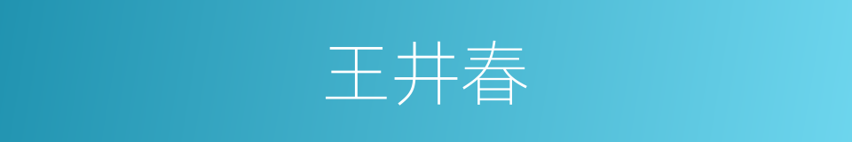 王井春的同义词