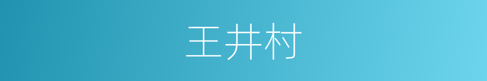 王井村的同义词