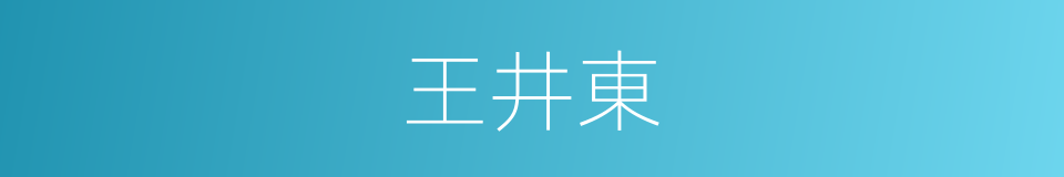 王井東的同義詞