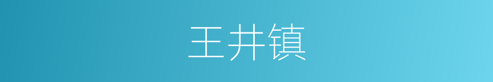 王井镇的同义词