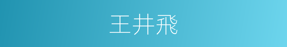 王井飛的同義詞