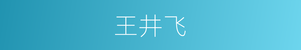 王井飞的同义词