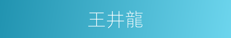 王井龍的同義詞