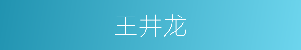 王井龙的同义词