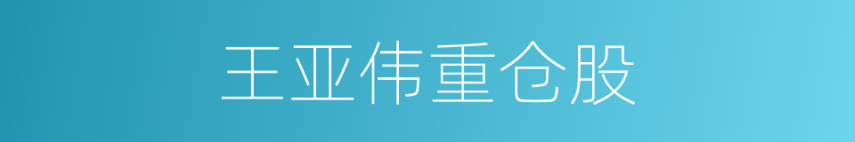 王亚伟重仓股的同义词
