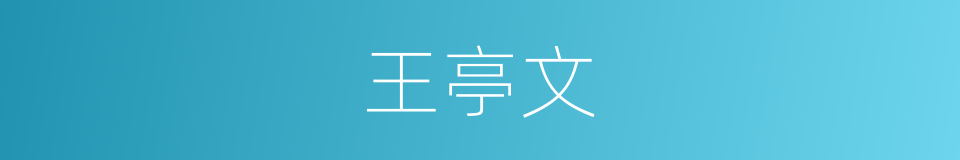 王亭文的同义词