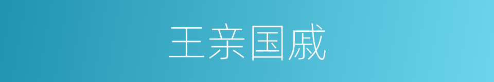 王亲国戚的意思