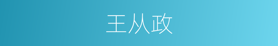 王从政的同义词