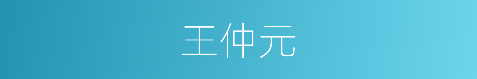 王仲元的同义词