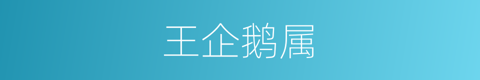 王企鹅属的同义词