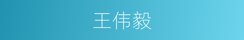 王伟毅的同义词