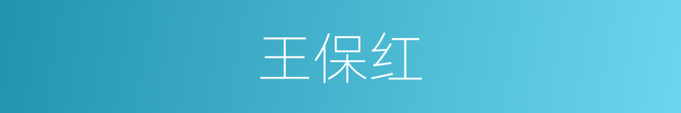 王保红的同义词