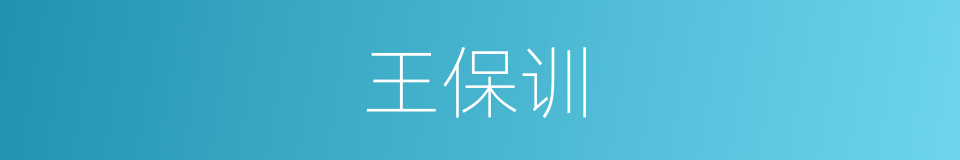 王保训的同义词