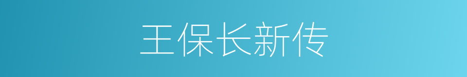 王保长新传的同义词