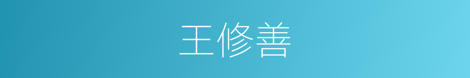 王修善的同义词