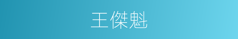 王傑魁的同義詞