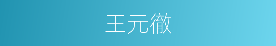 王元徹的同義詞