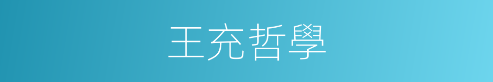 王充哲學的同義詞