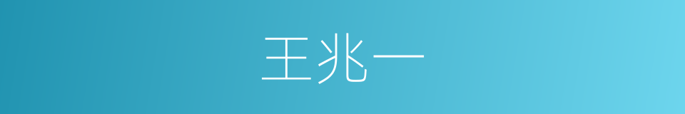 王兆一的同义词