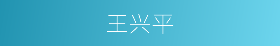 王兴平的同义词