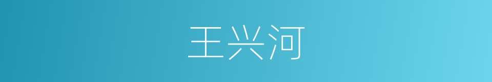 王兴河的同义词