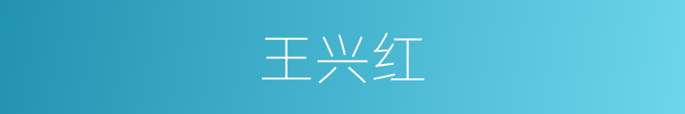 王兴红的同义词