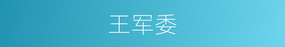 王军委的同义词