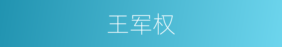 王军权的同义词