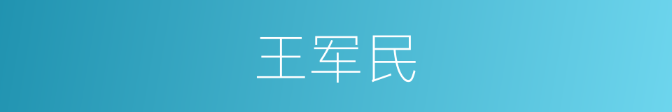 王军民的同义词