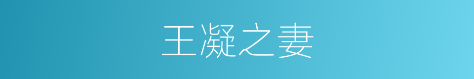 王凝之妻的同义词