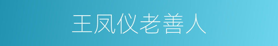 王凤仪老善人的同义词