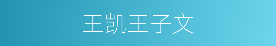 王凯王子文的同义词