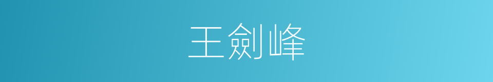 王劍峰的同義詞