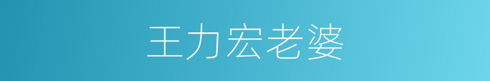 王力宏老婆的同义词