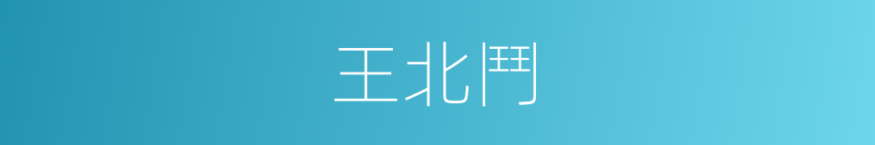 王北鬥的同義詞