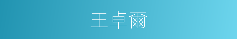 王卓爾的同義詞