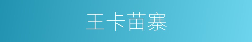 王卡苗寨的同义词
